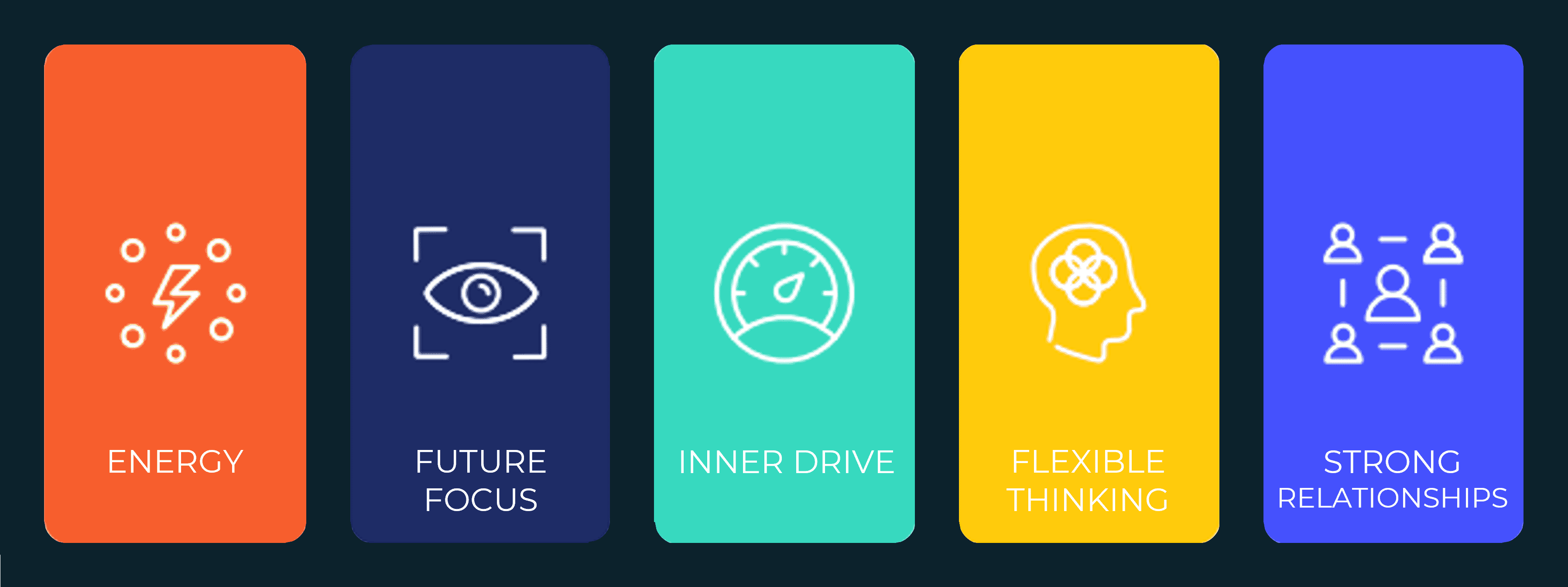 Five boxes with text and icons. Labels: Energy; Future Focus; Inner Drive; Flexible Thinking; Strong Relationships.